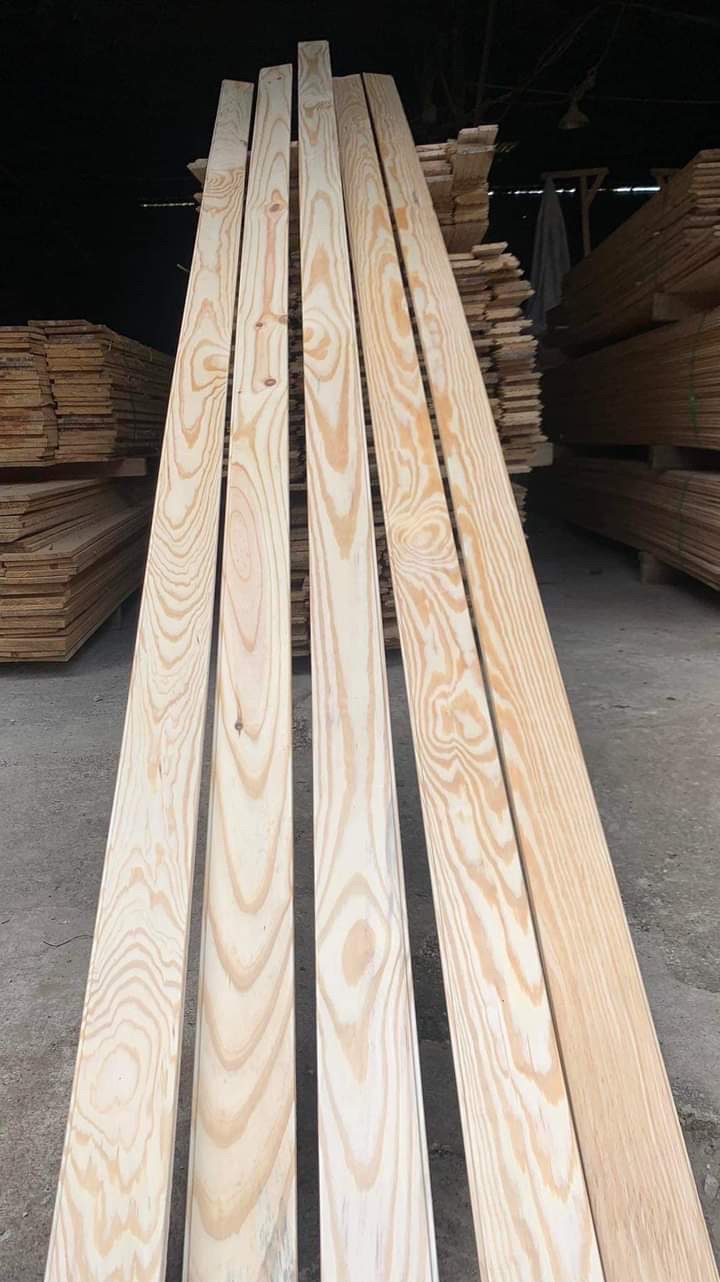 chiều dài gỗ thông pallet